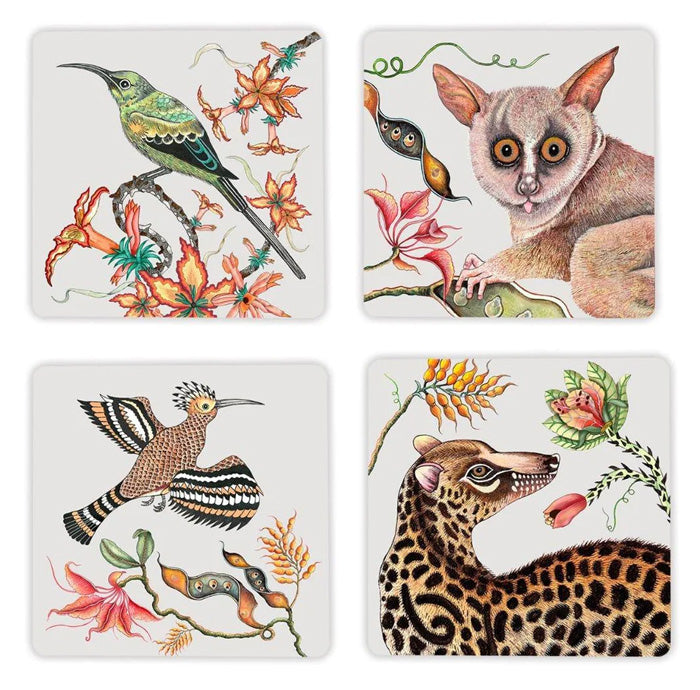 Coasters Camp Critters Chalk