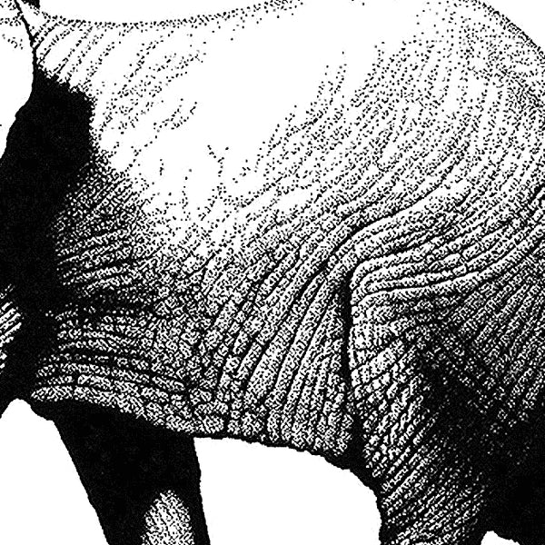 Prints: Brennan Seward Prints - Elephant
