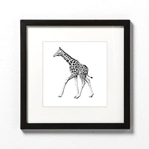 Prints: Brennan Seward Prints - Giraffe