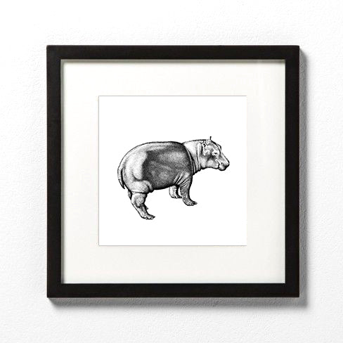 Prints: Brennan Seward Prints - Hippo