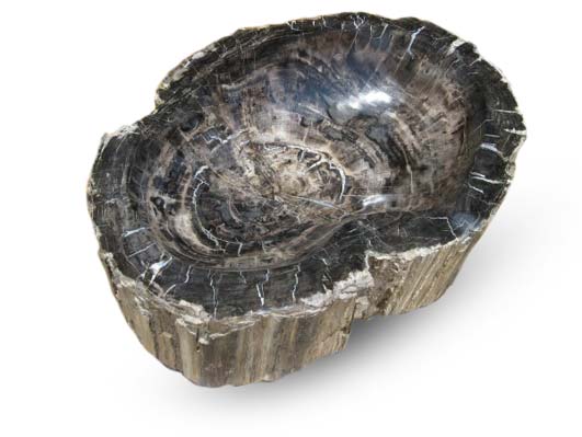 Petrified Wood Dish Black