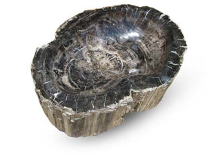 Petrified Wood Dish Black