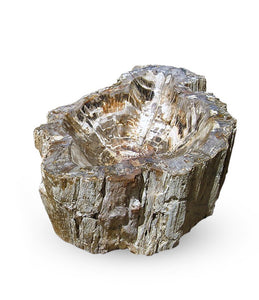 Petrified Wood Dishes Set of 2 (B)