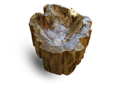 Petrified Wood Standing Bowl